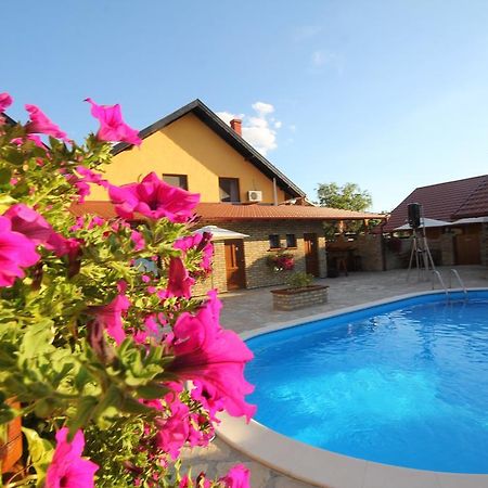 Guest House Vila Alexandar Palić المظهر الخارجي الصورة