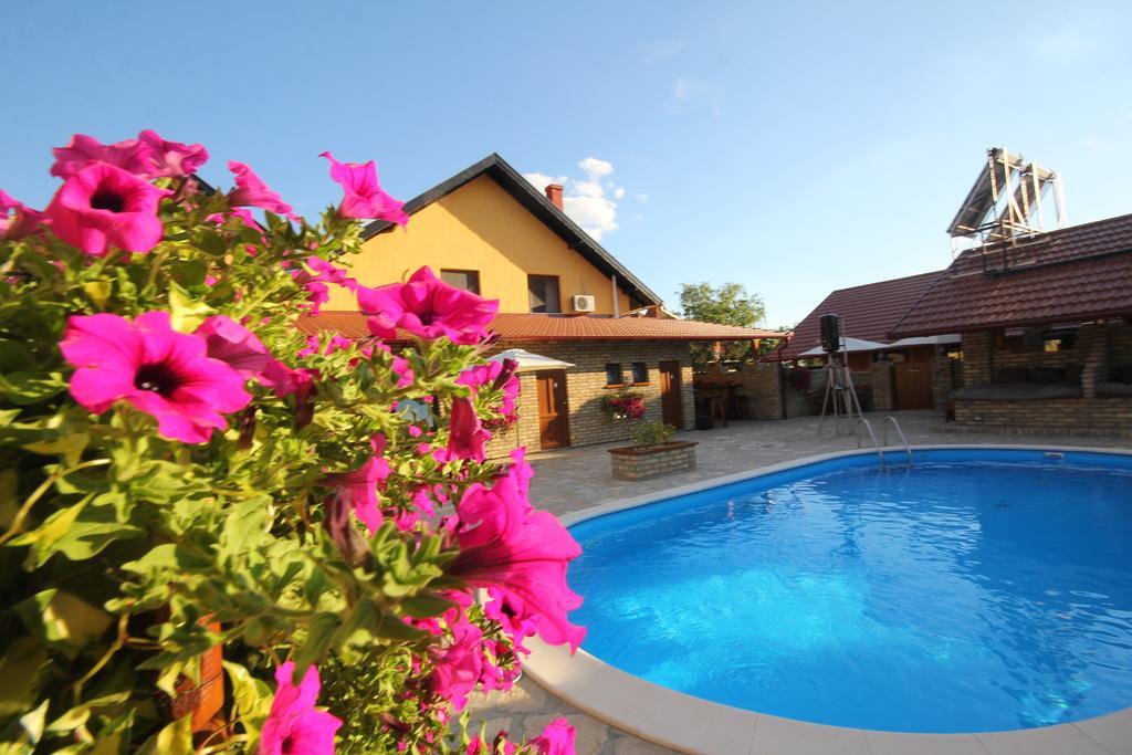 Guest House Vila Alexandar Palić المظهر الخارجي الصورة