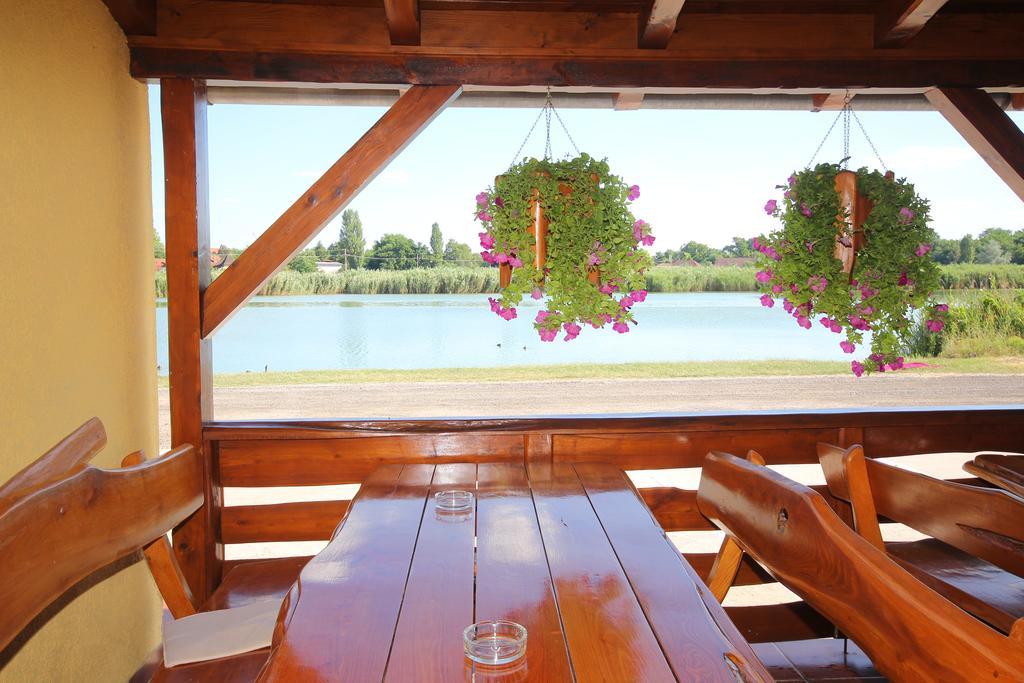 Guest House Vila Alexandar Palić المظهر الخارجي الصورة