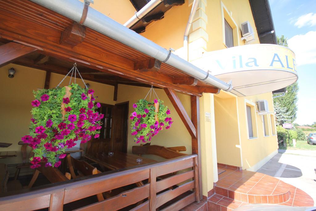 Guest House Vila Alexandar Palić المظهر الخارجي الصورة